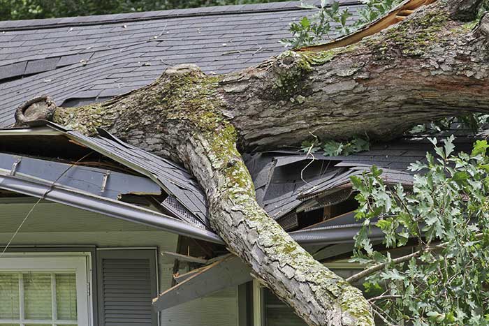 storm-damage-insurance-claim